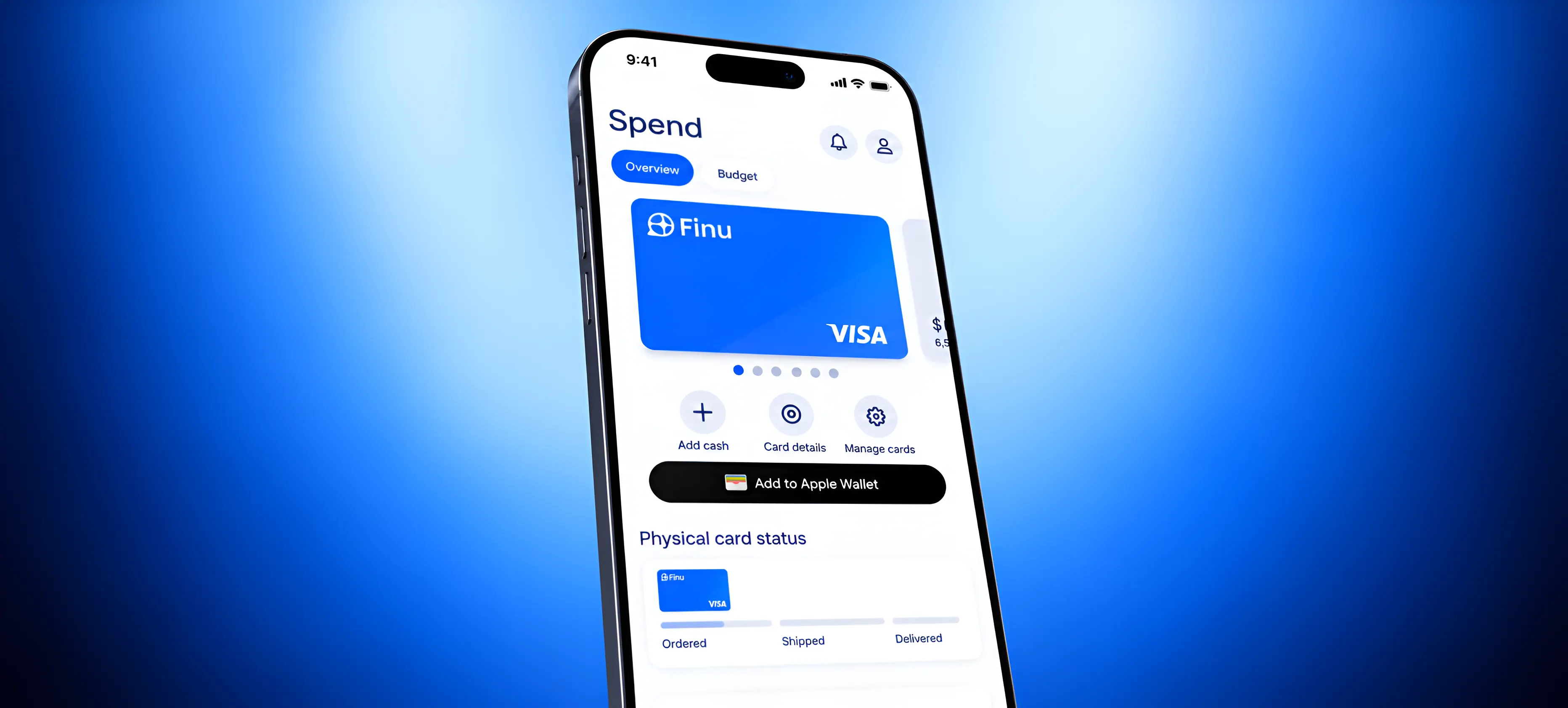 Finu app spending overview