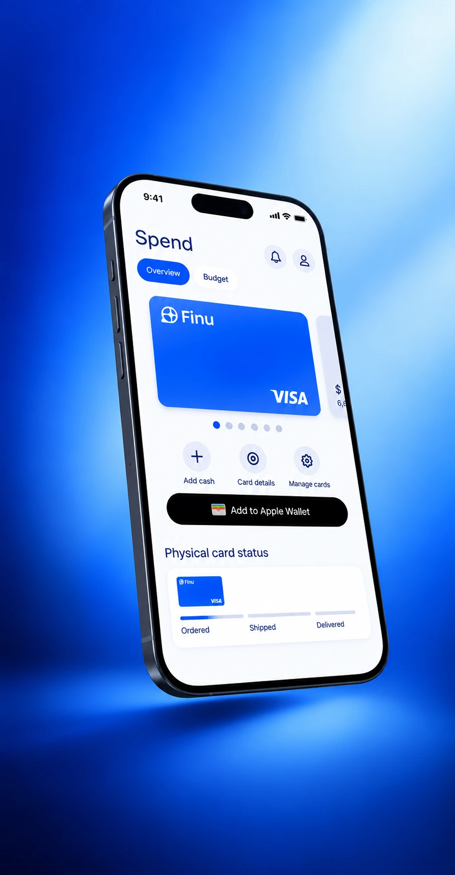 Finu app spending overview